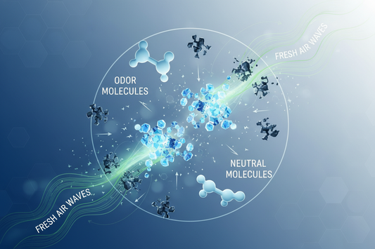 The Science Behind Odor Removal: How It Works and Why It’s Effective